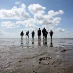 Wadlopen Friesland